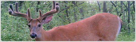 Bluff Bucks Outfitters