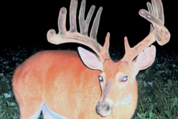 2006 Trail Cam
