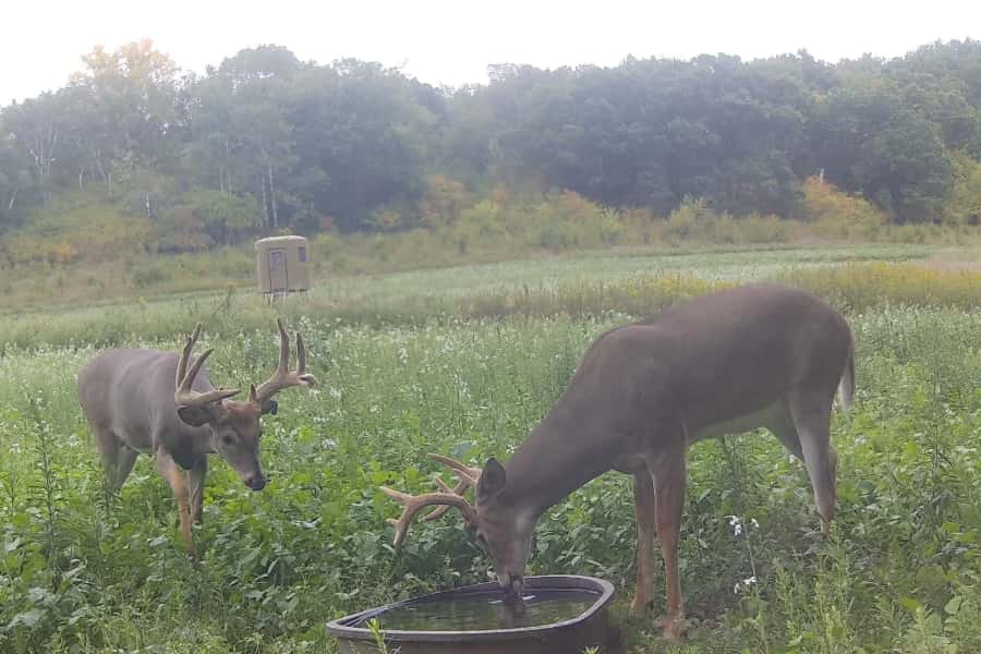2023 Trail Cam