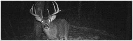 Bluff Bucks Outfitters